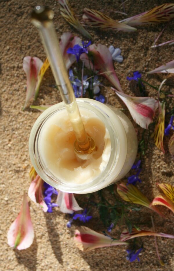 Cuillère à miel – Image 5