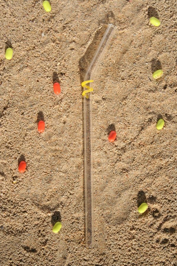Paille coudée – Image 8