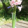 Soliflore rose – Image 4