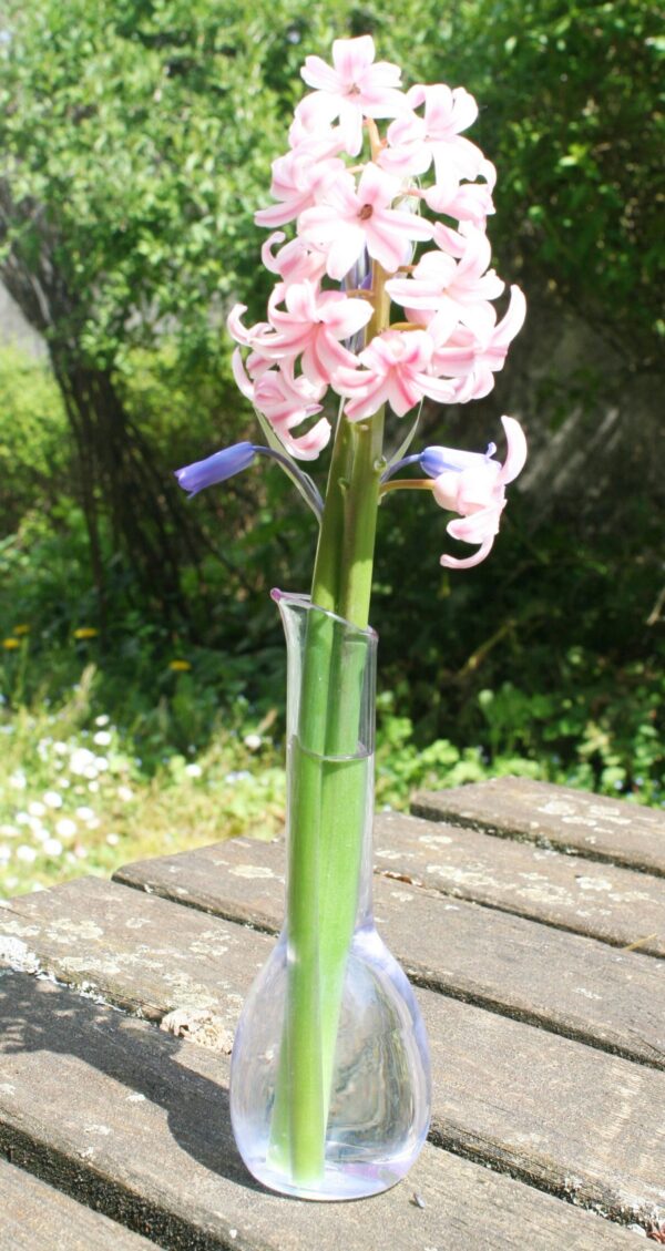 Soliflore rose – Image 4
