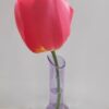 Soliflore rose – Image 3