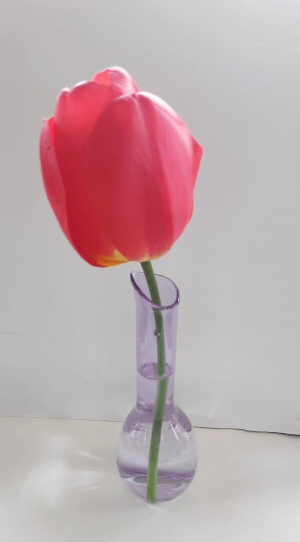 Soliflore rose – Image 3