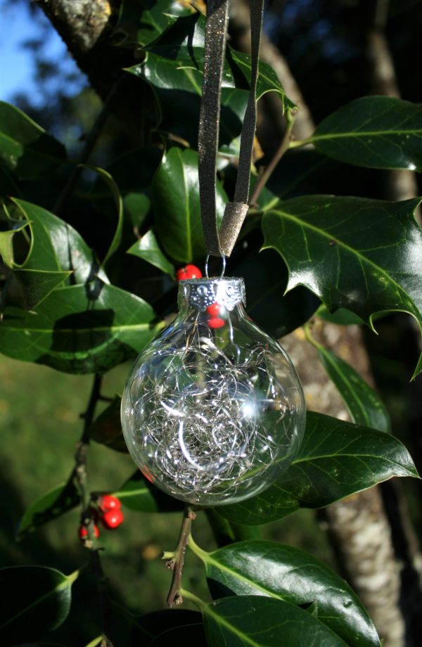 Boule de Noël transparente – Image 2